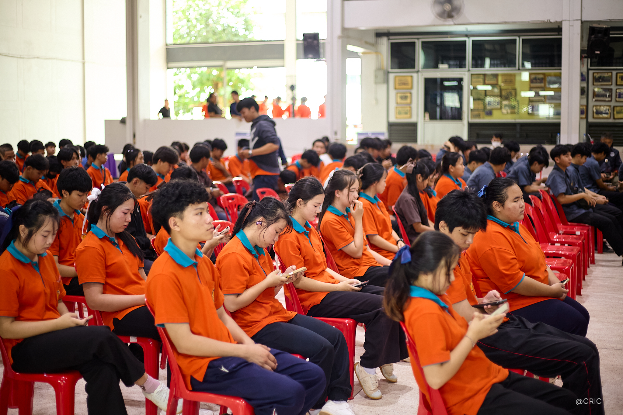Activity Photo