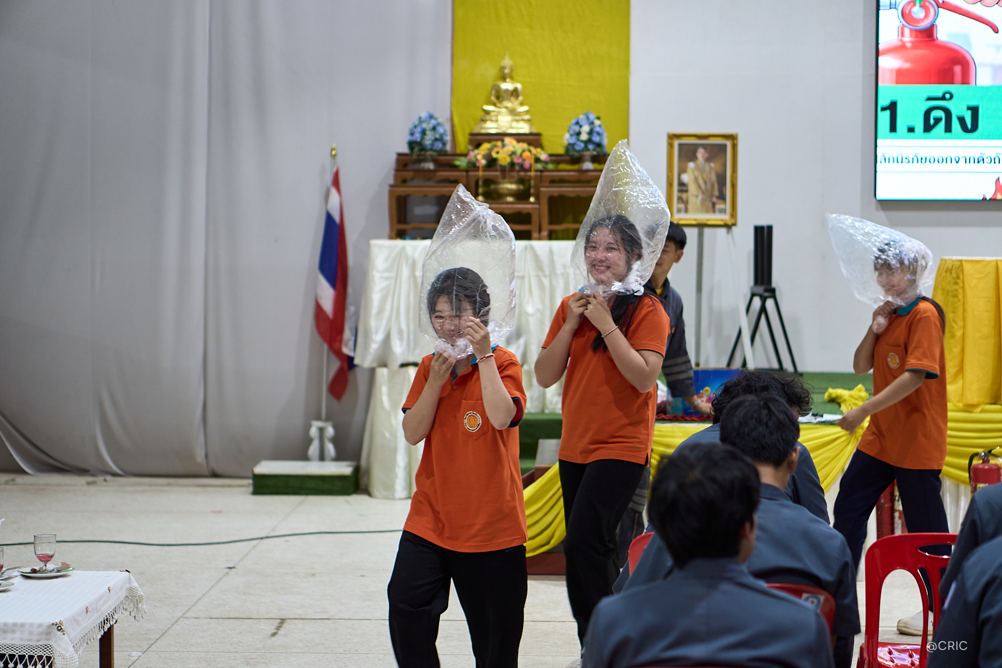 Activity Photo