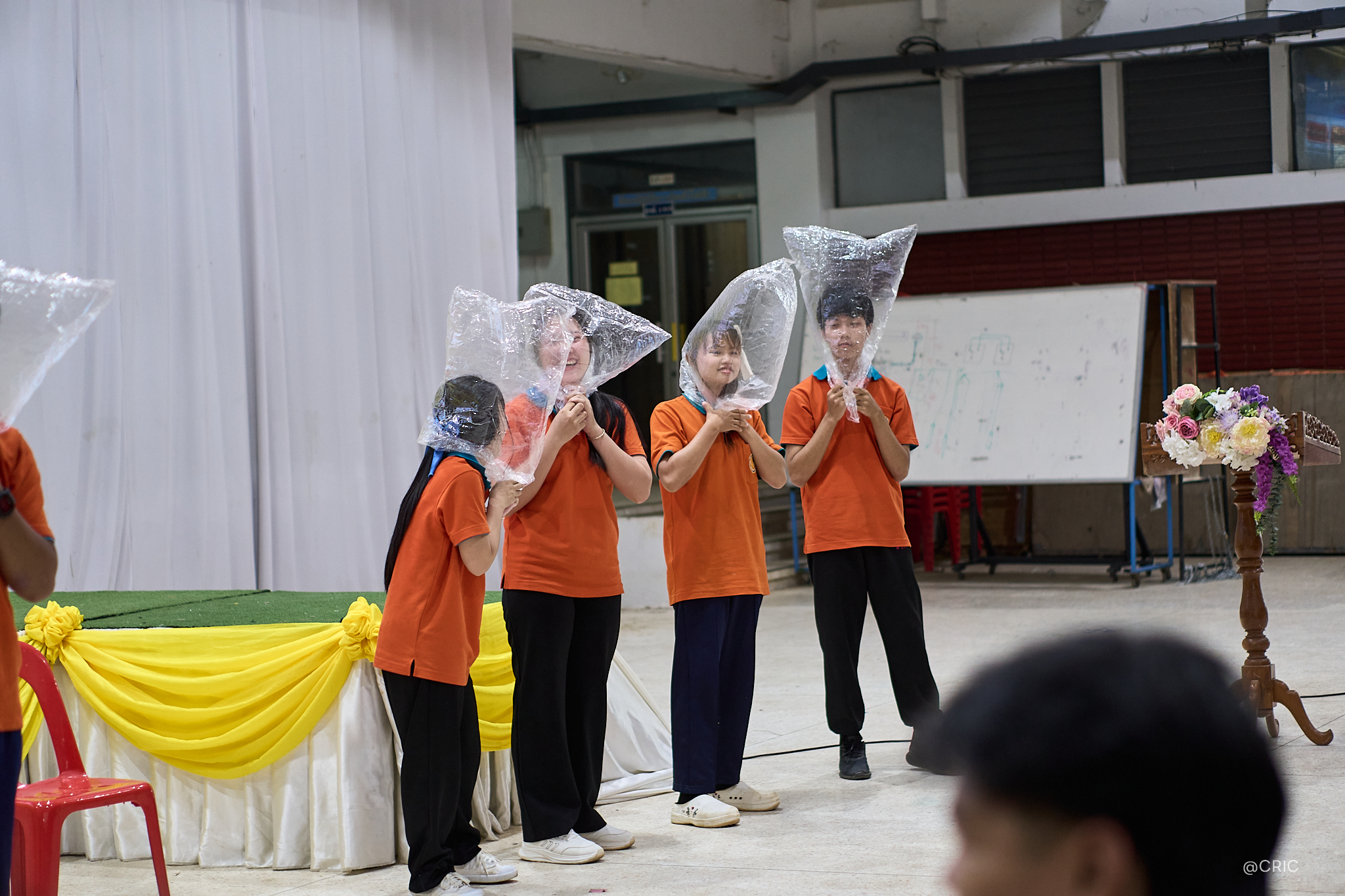 Activity Photo