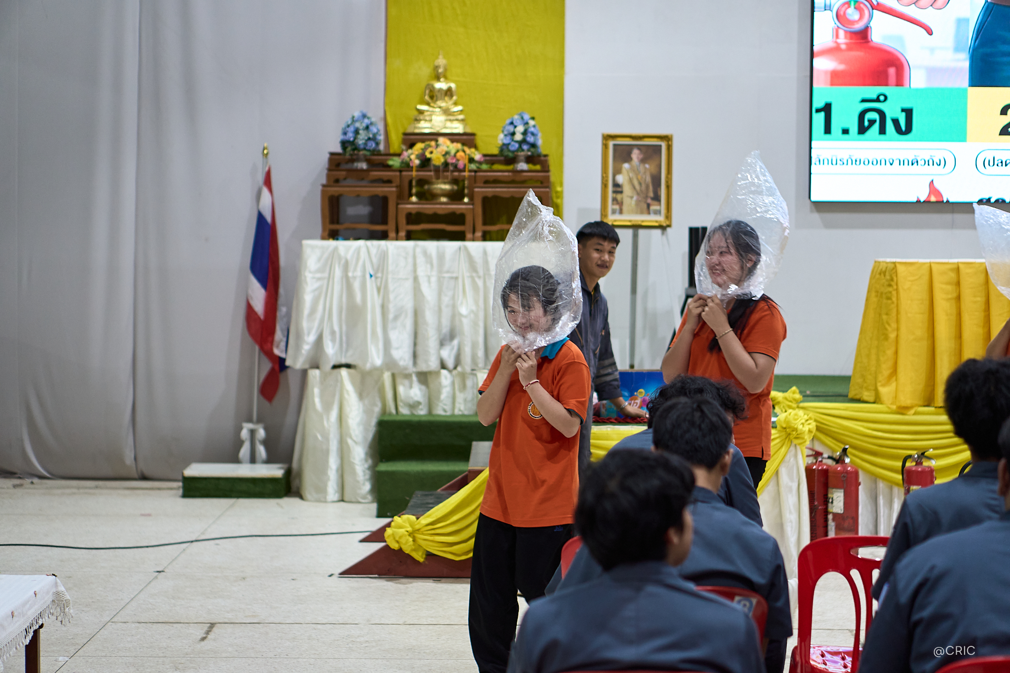 Activity Photo