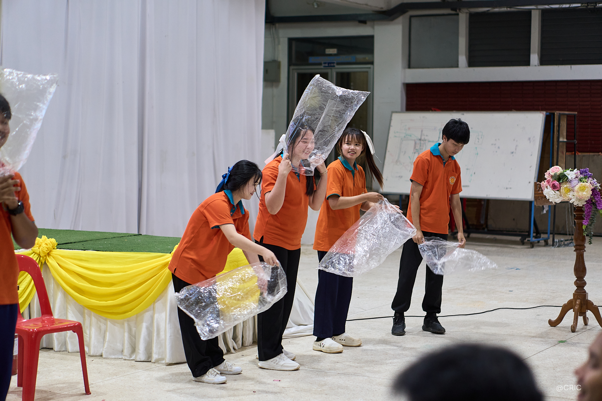 Activity Photo