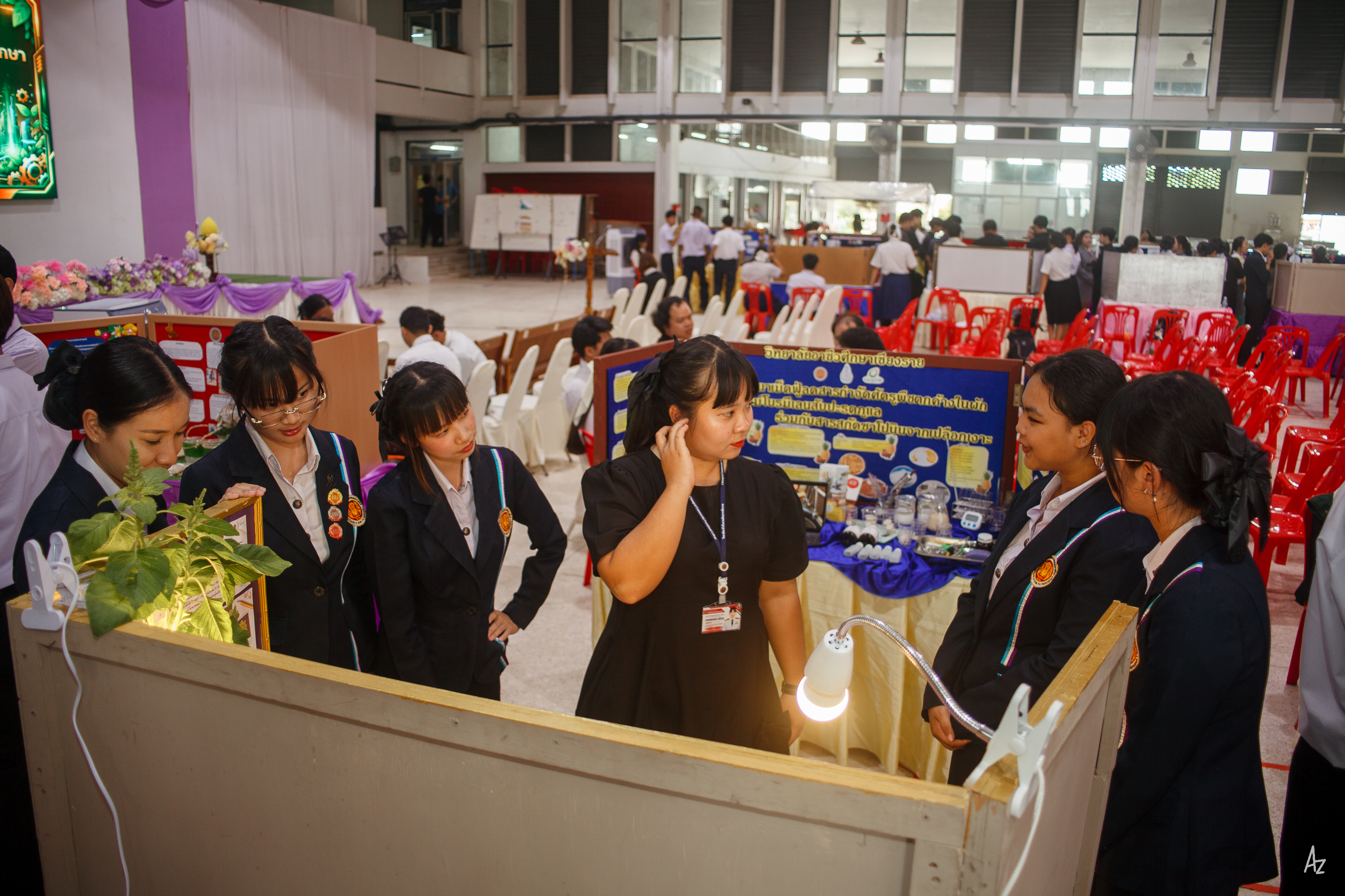 Activity Photo