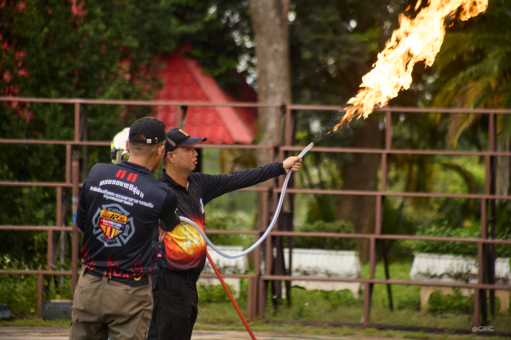 Activity Photo