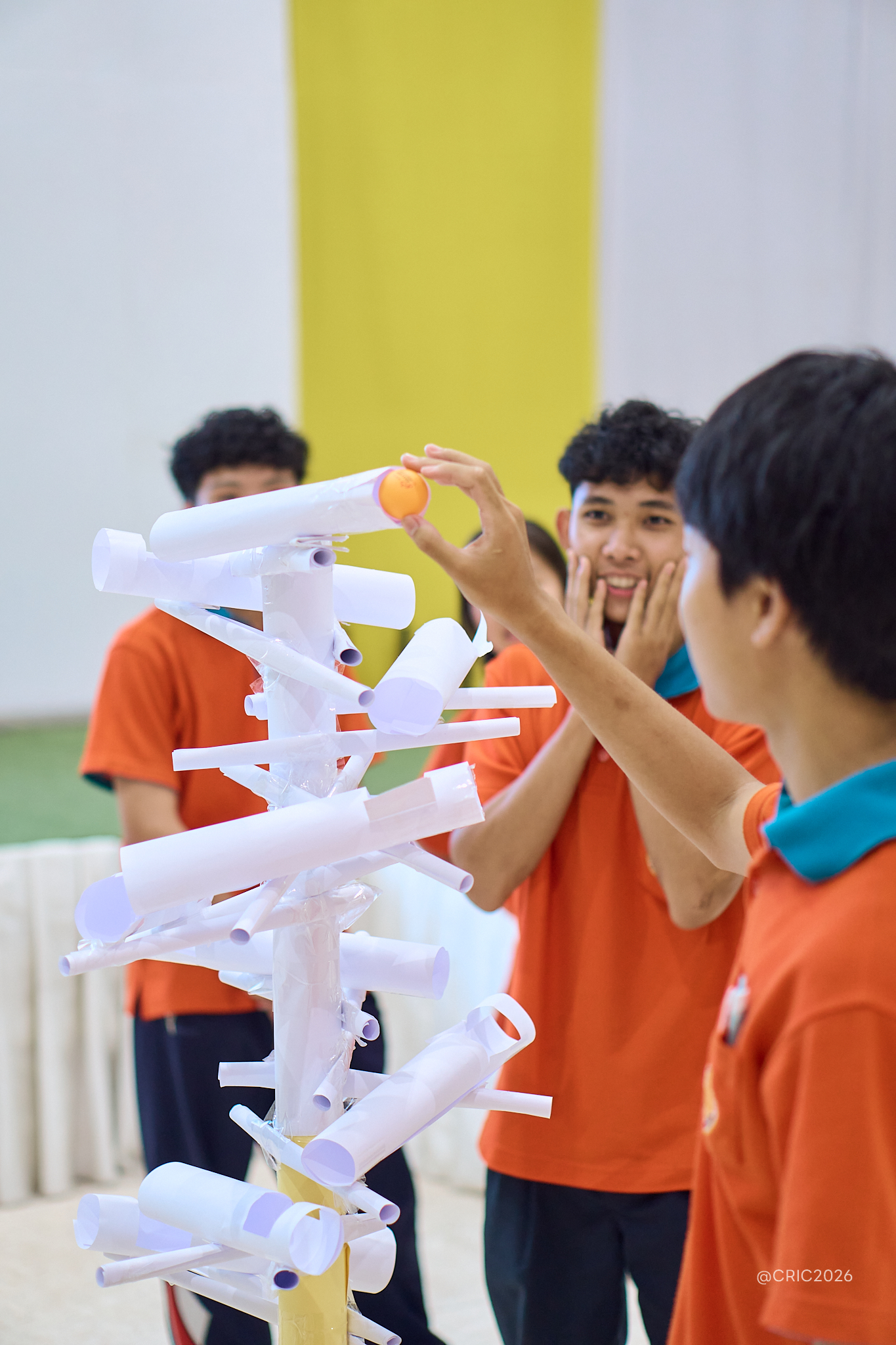 Activity Photo
