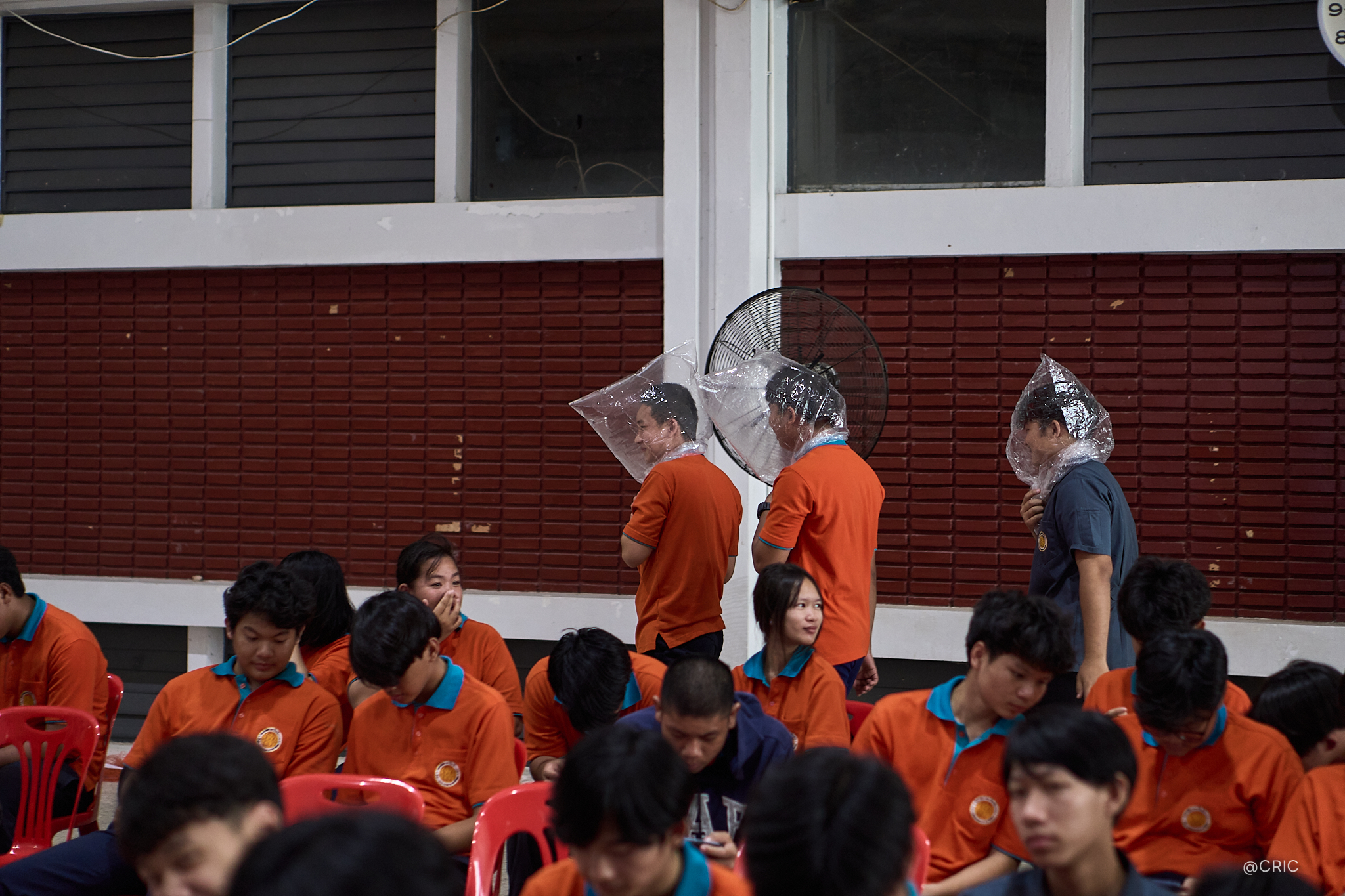 Activity Photo