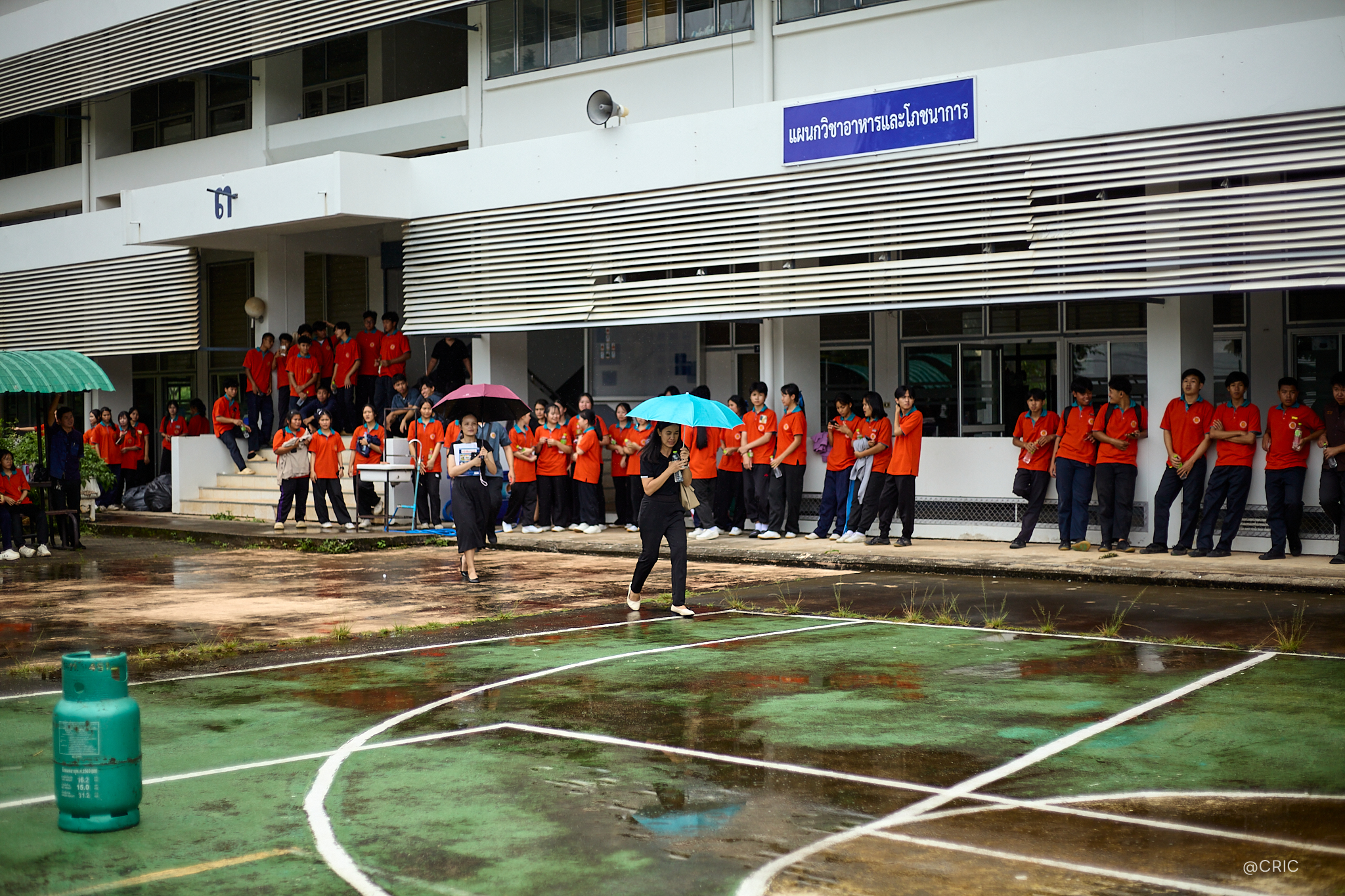 Activity Photo