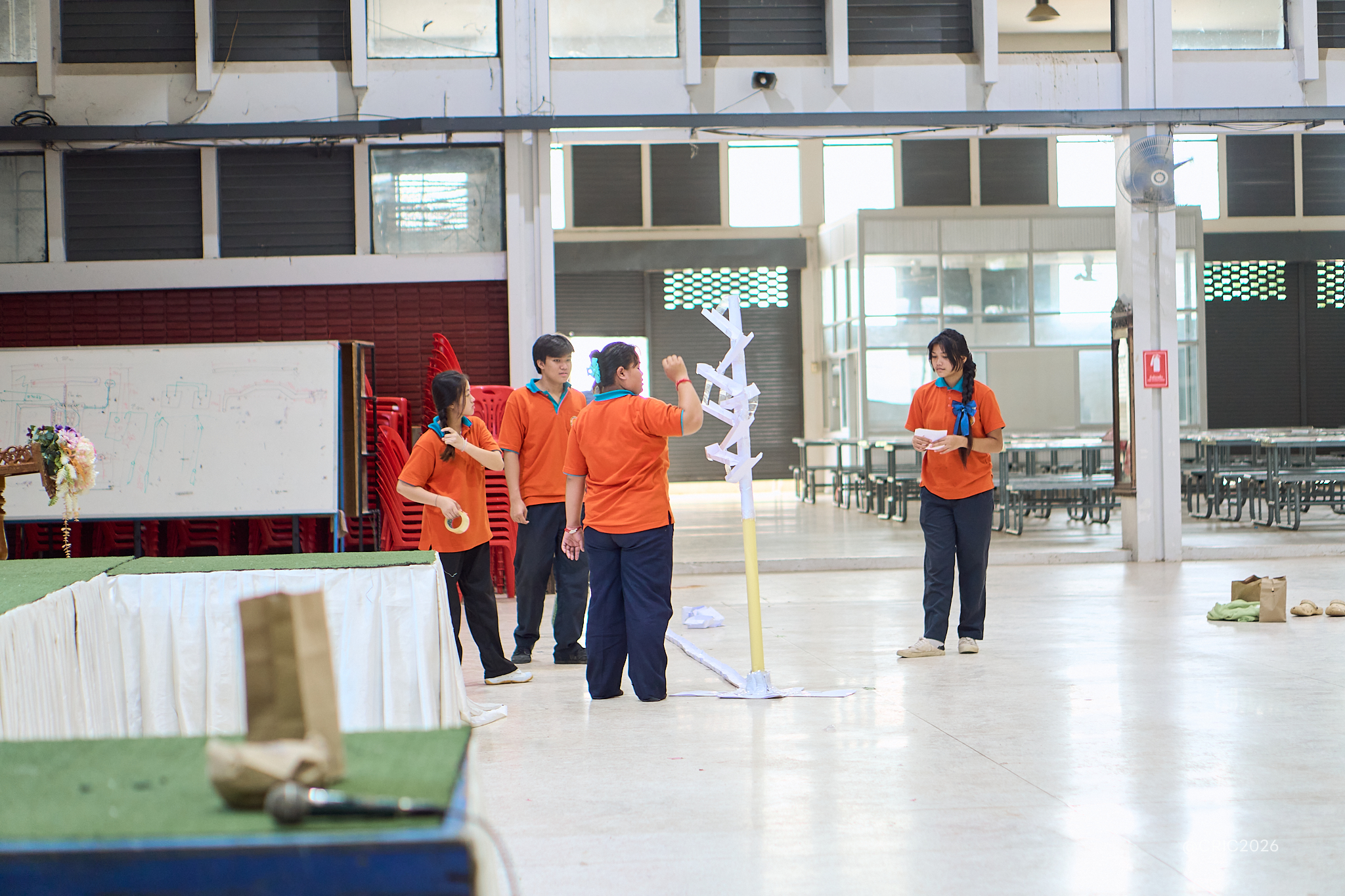 Activity Photo