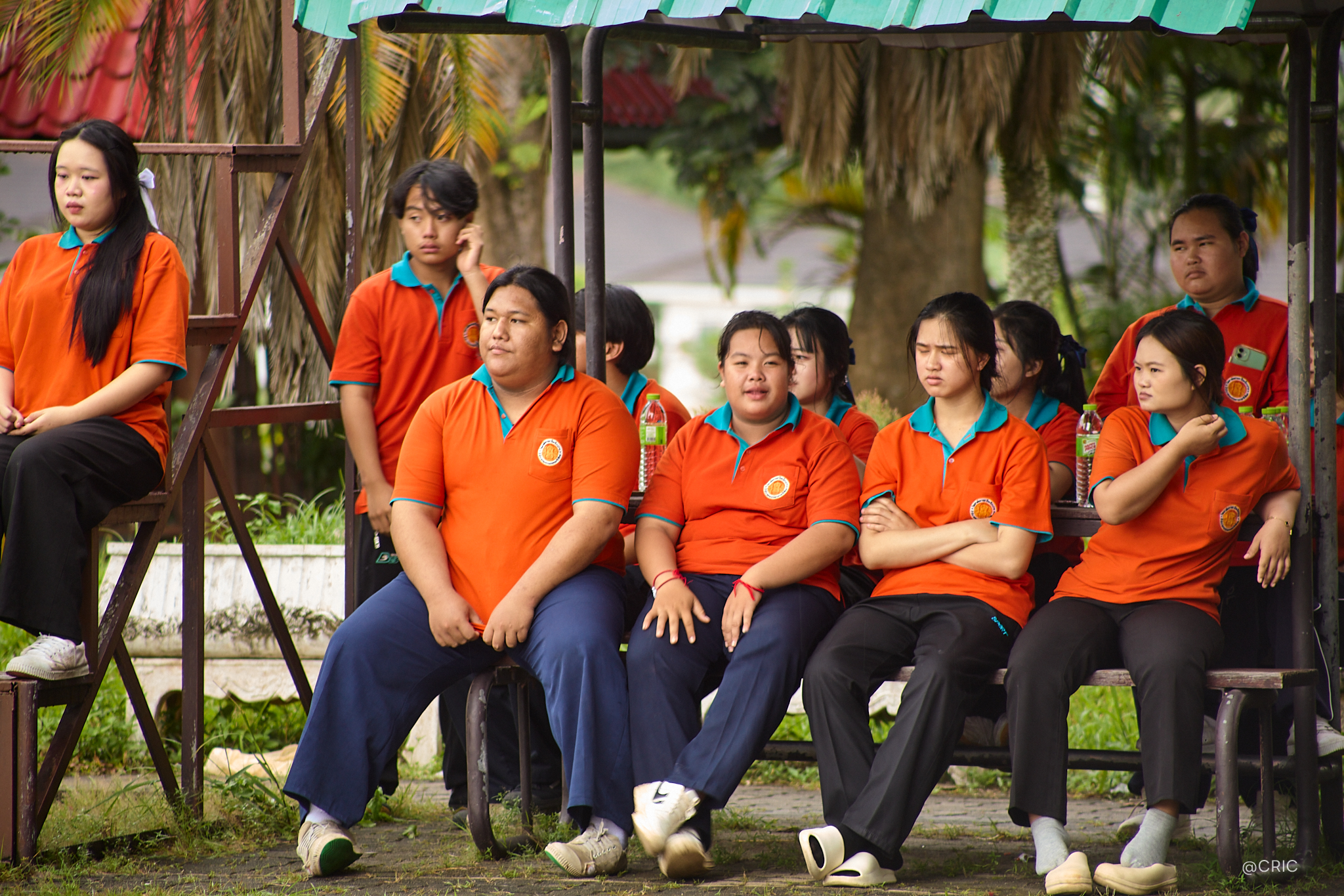 Activity Photo