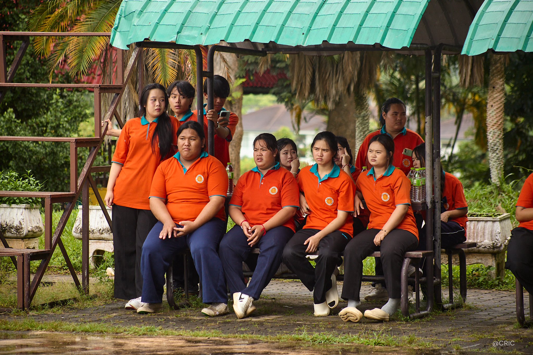 Activity Photo