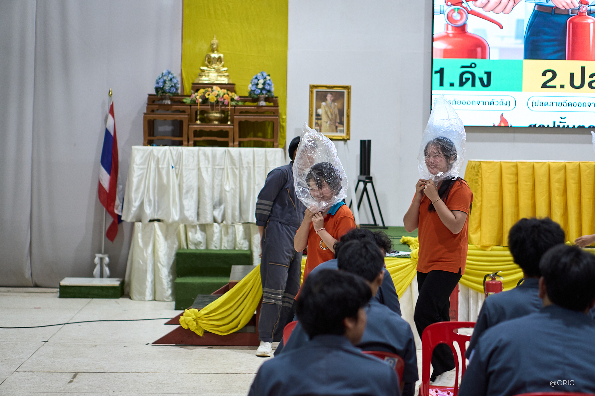 Activity Photo