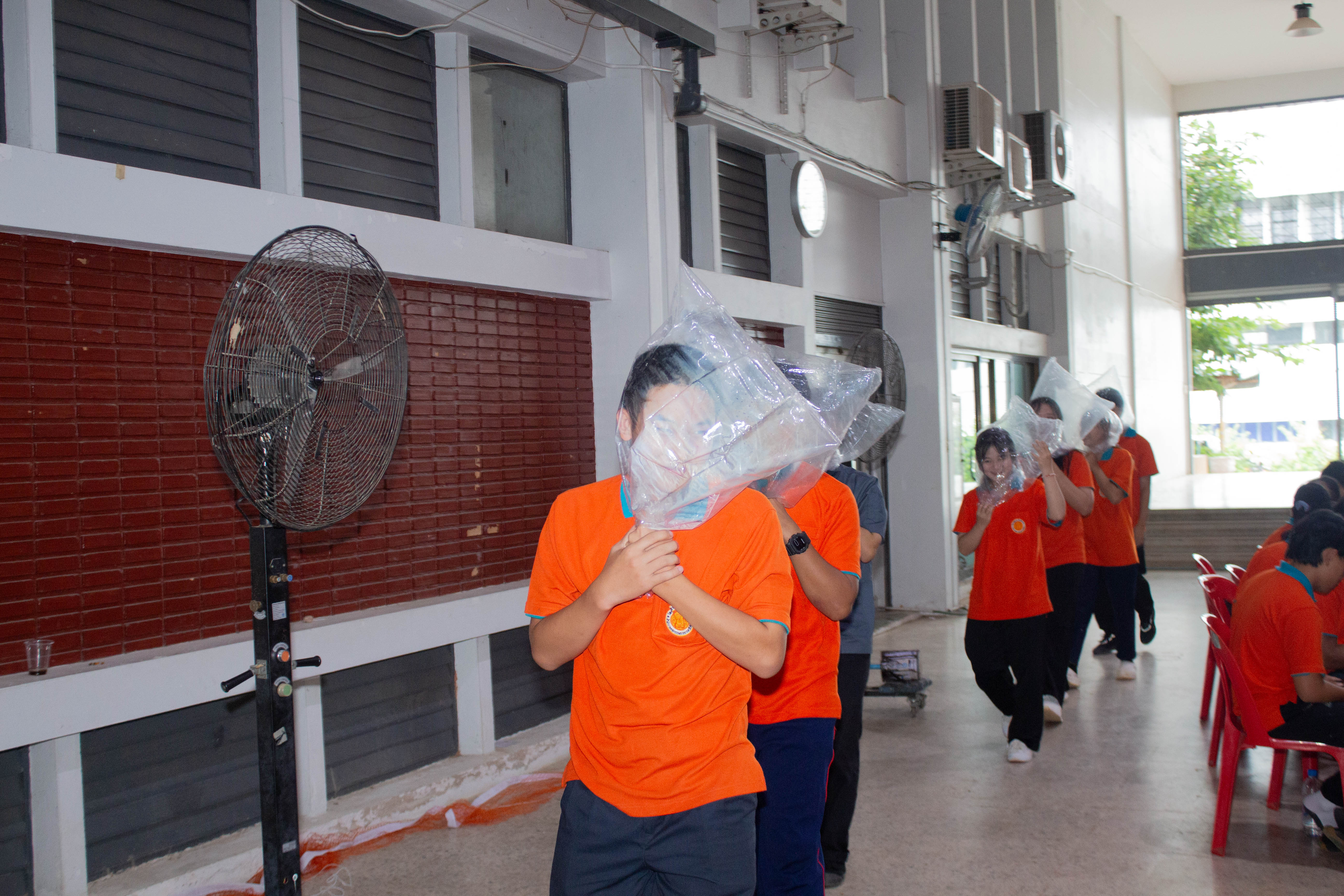 Activity Photo