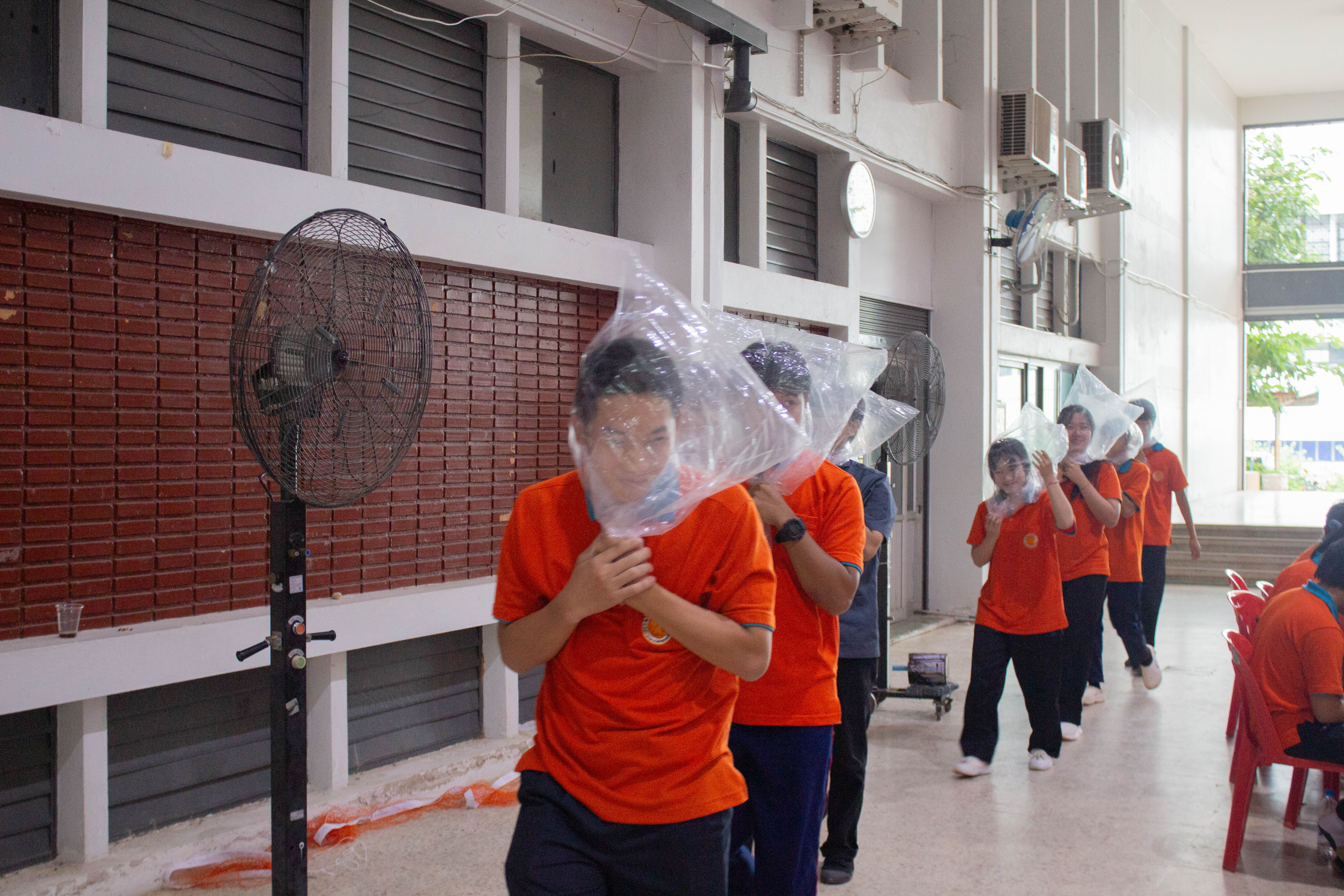 Activity Photo