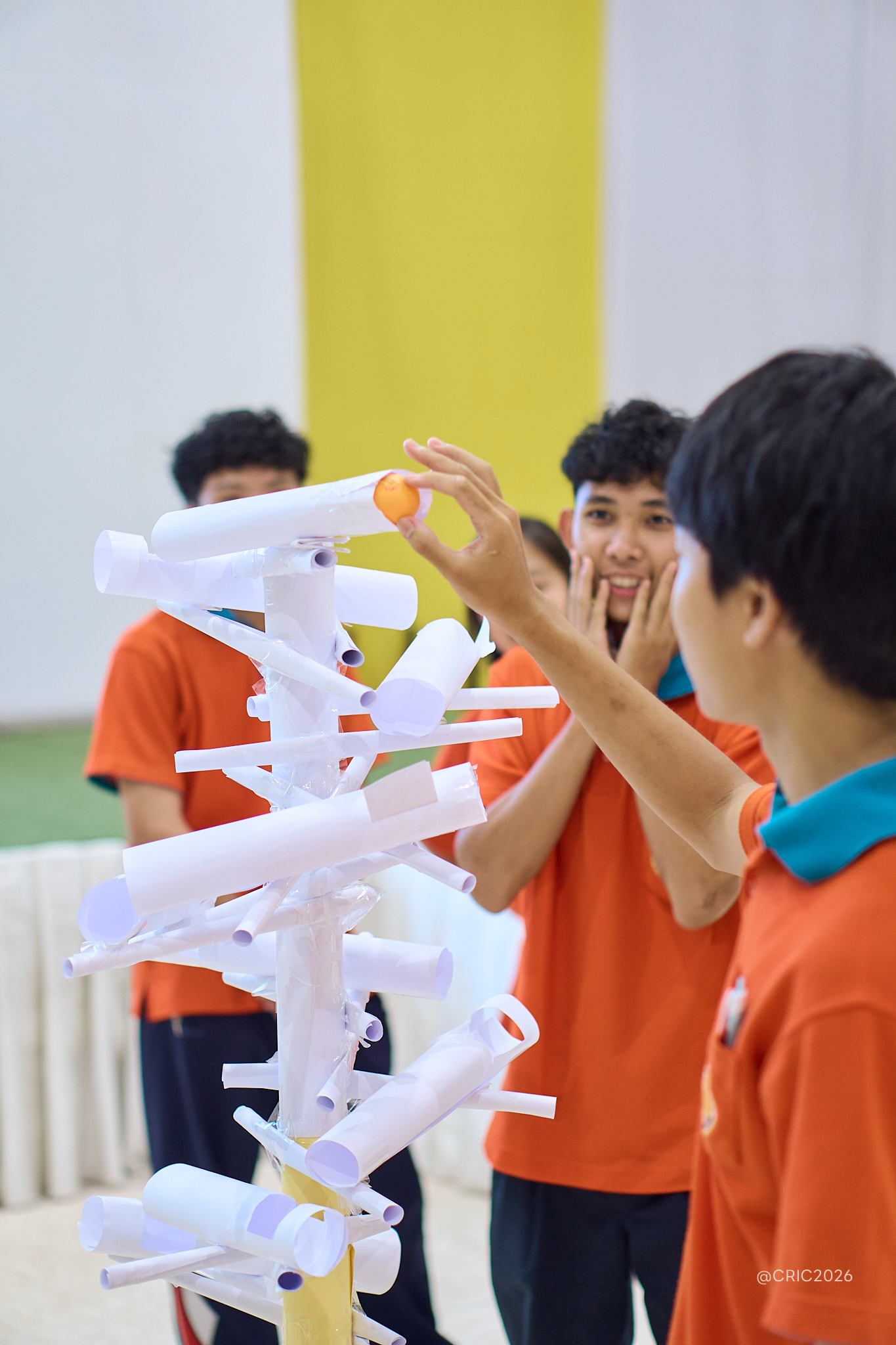 Activity Photo