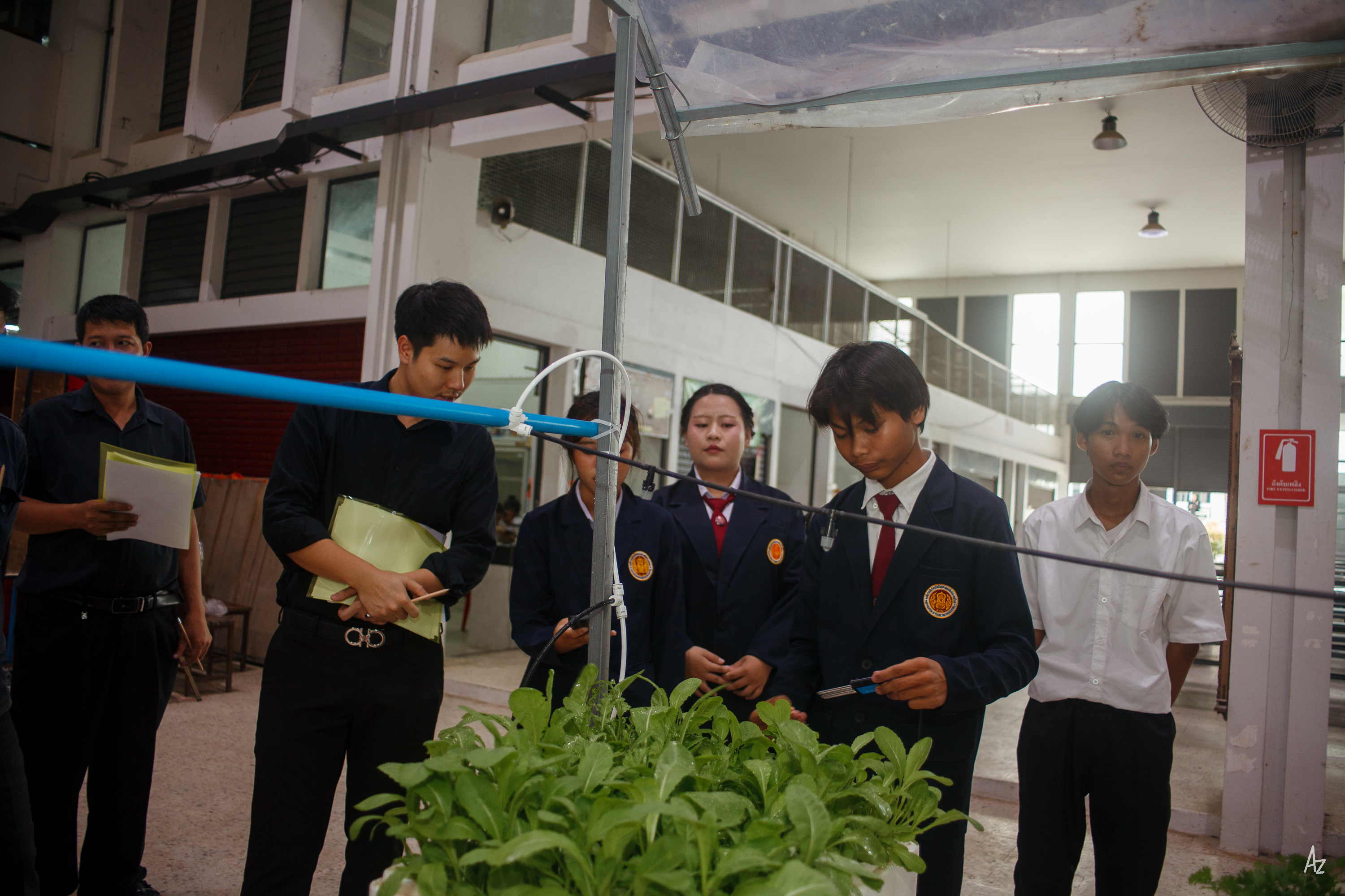 Activity Photo