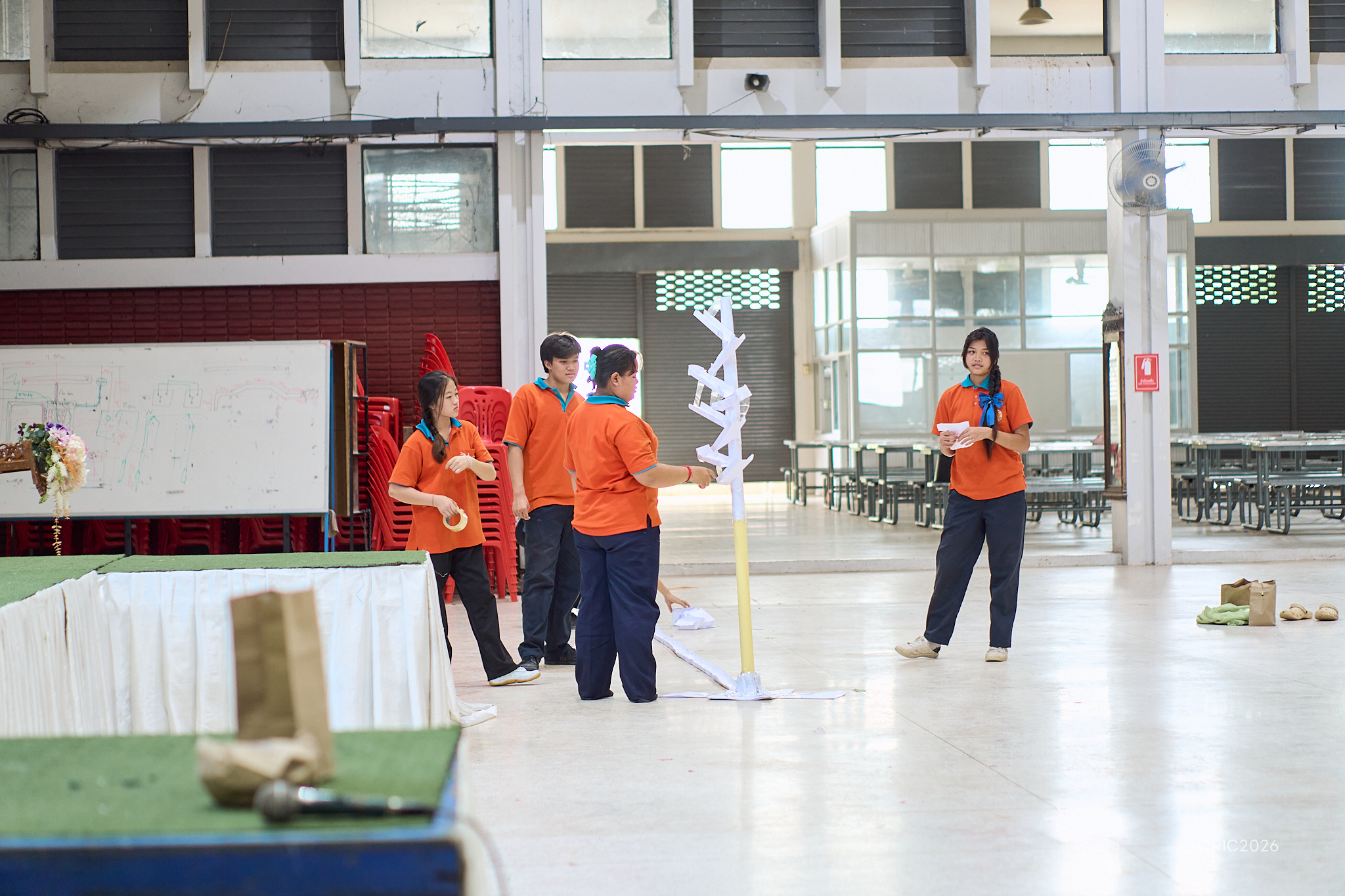 Activity Photo