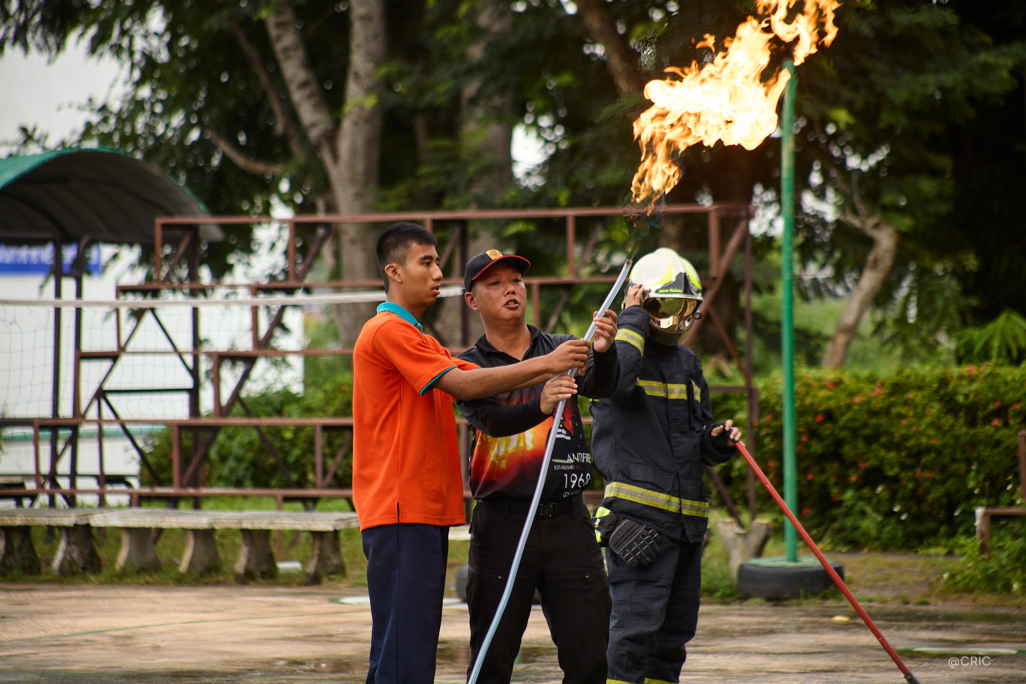 Activity Photo