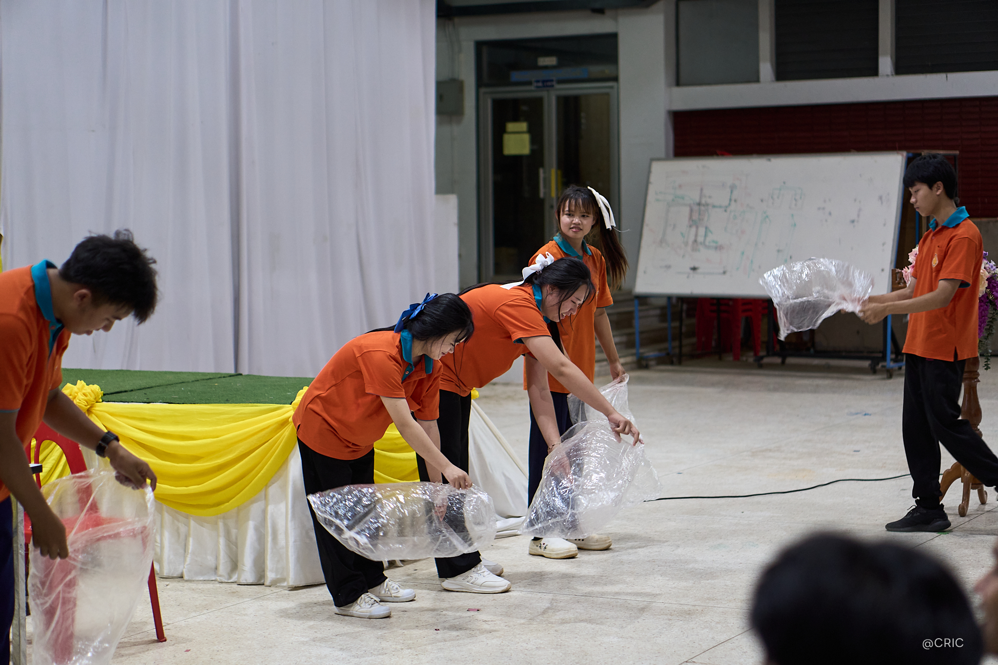 Activity Photo