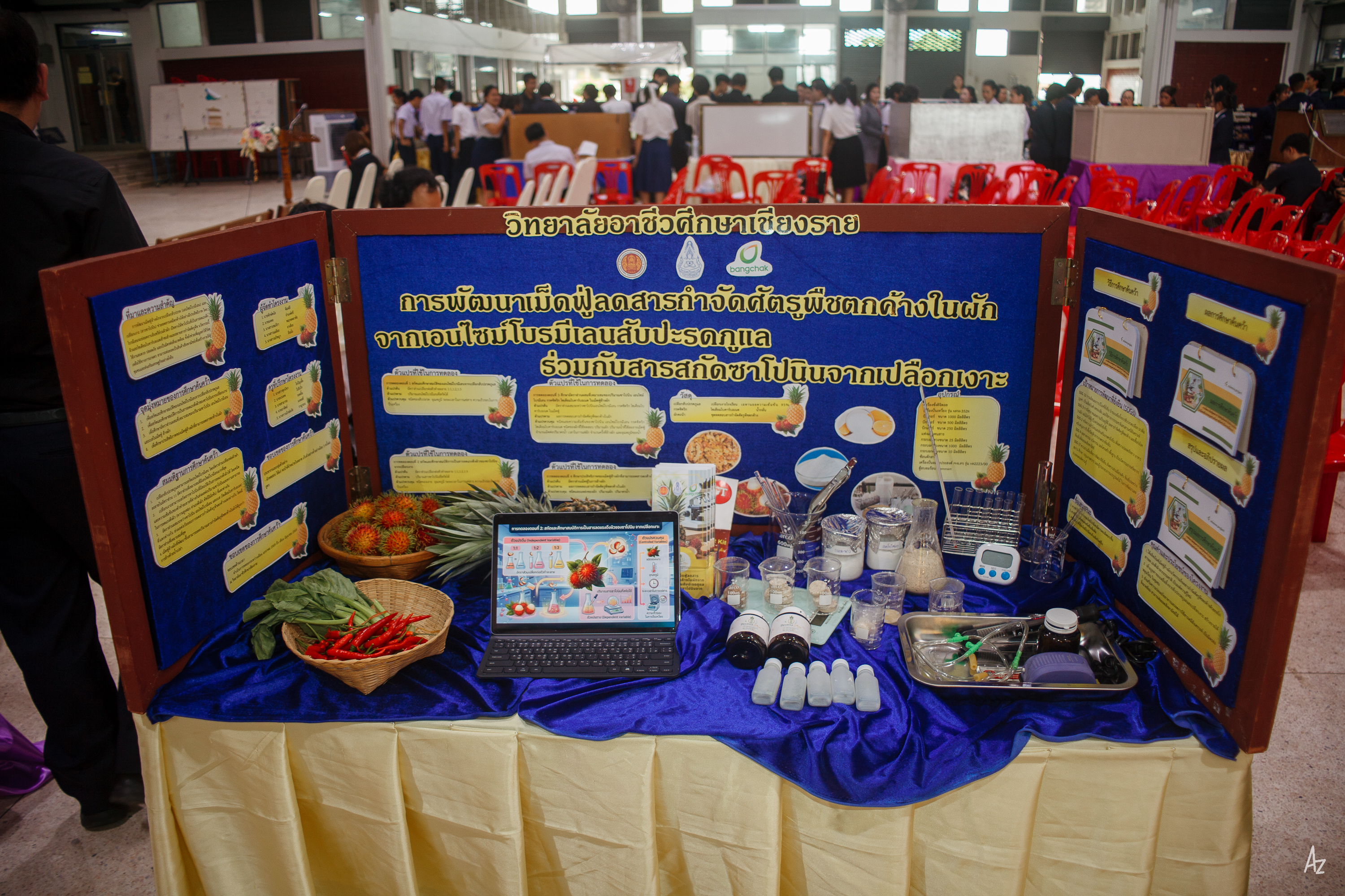 Activity Photo