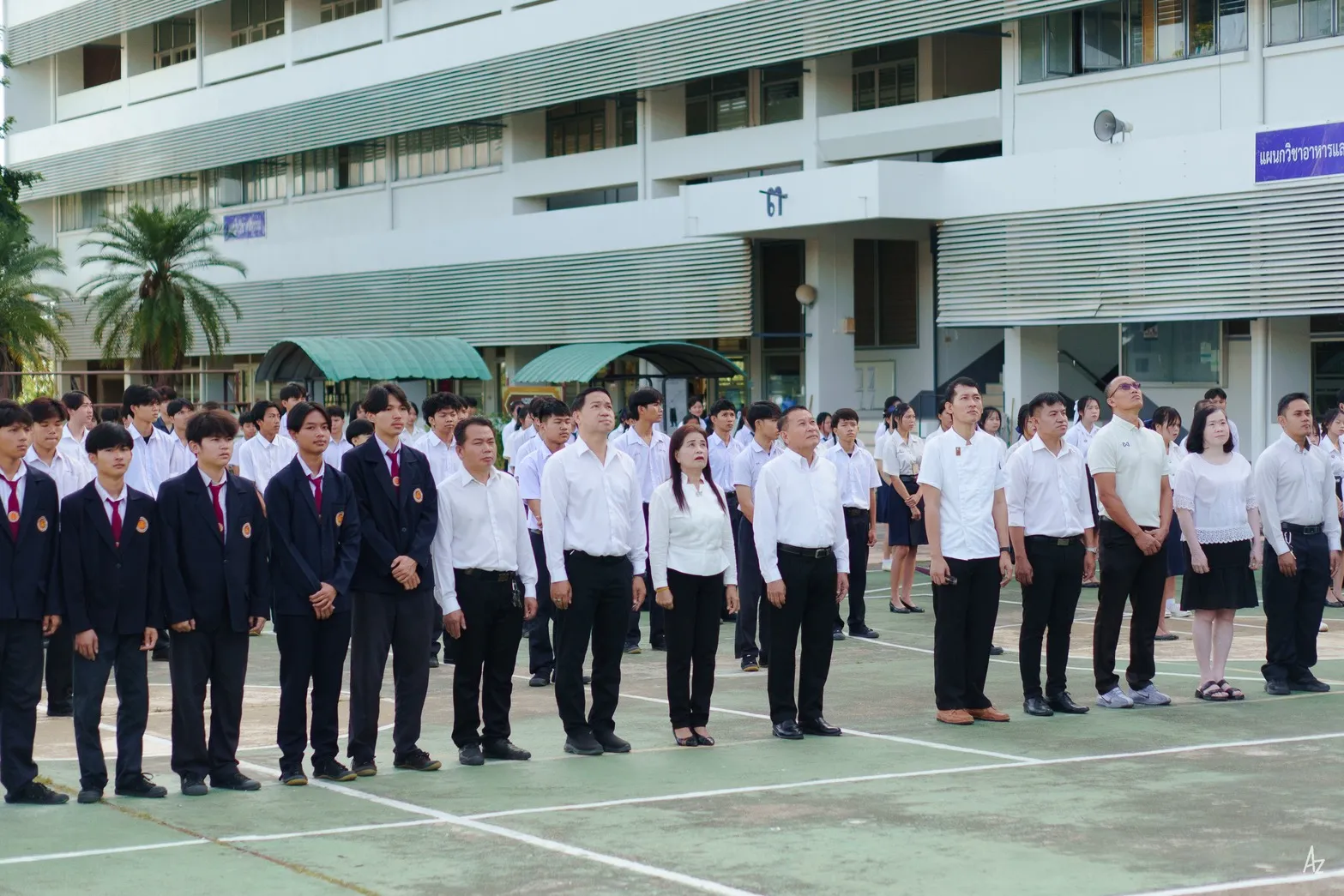 Additional Activity Photo