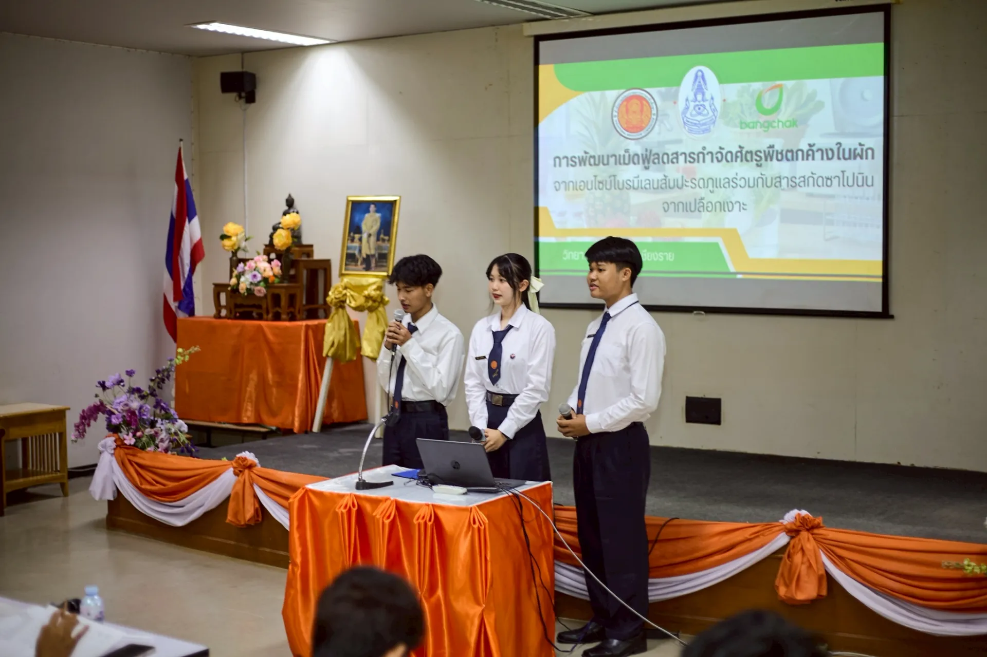 Additional Activity Photo