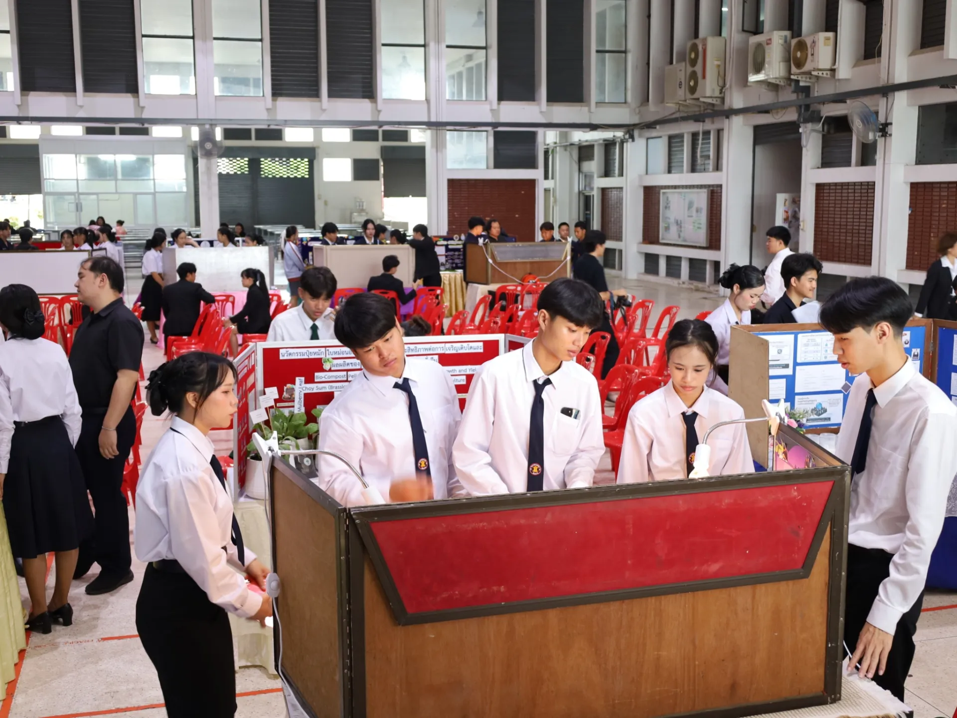 Additional Activity Photo