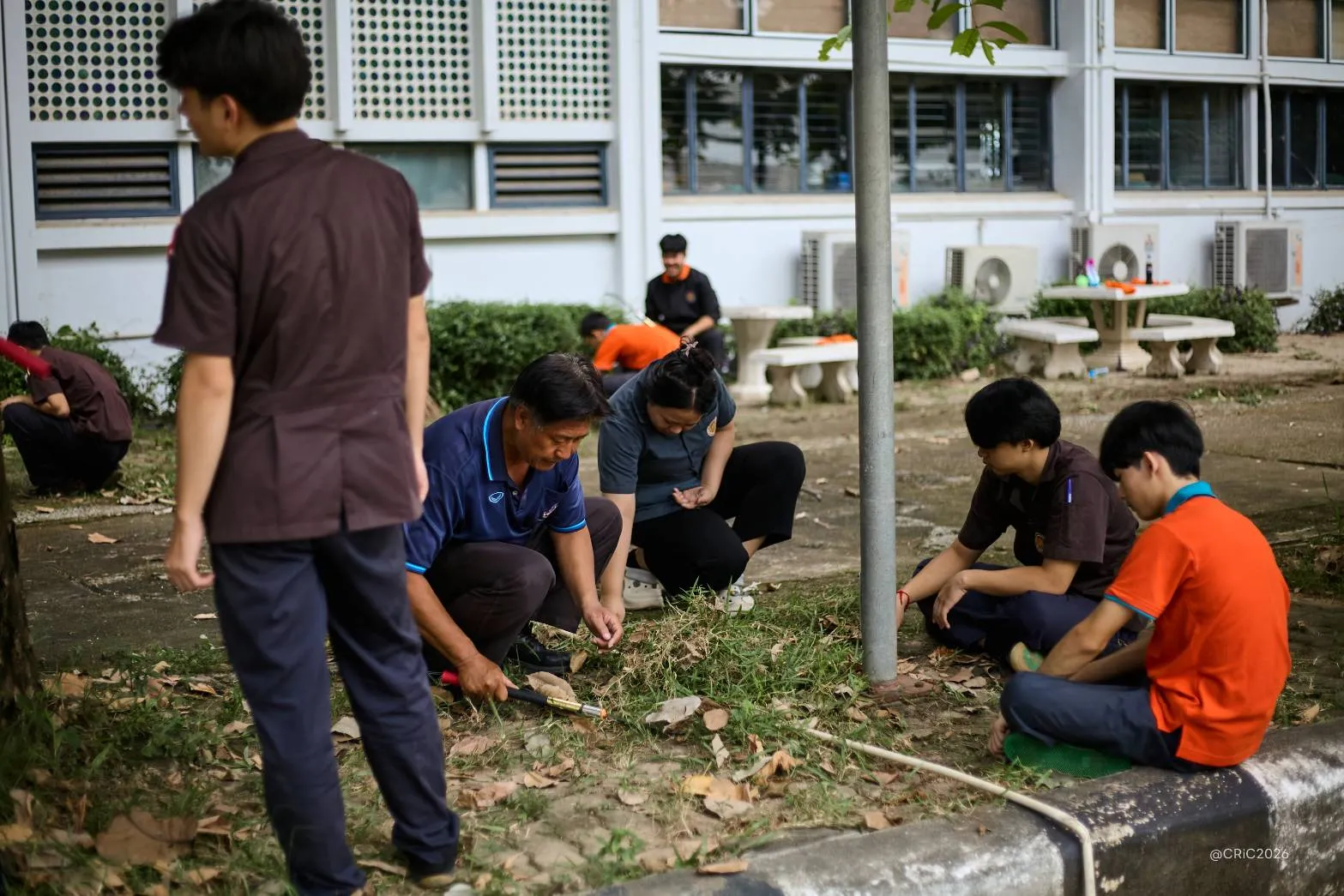 Additional Activity Photo