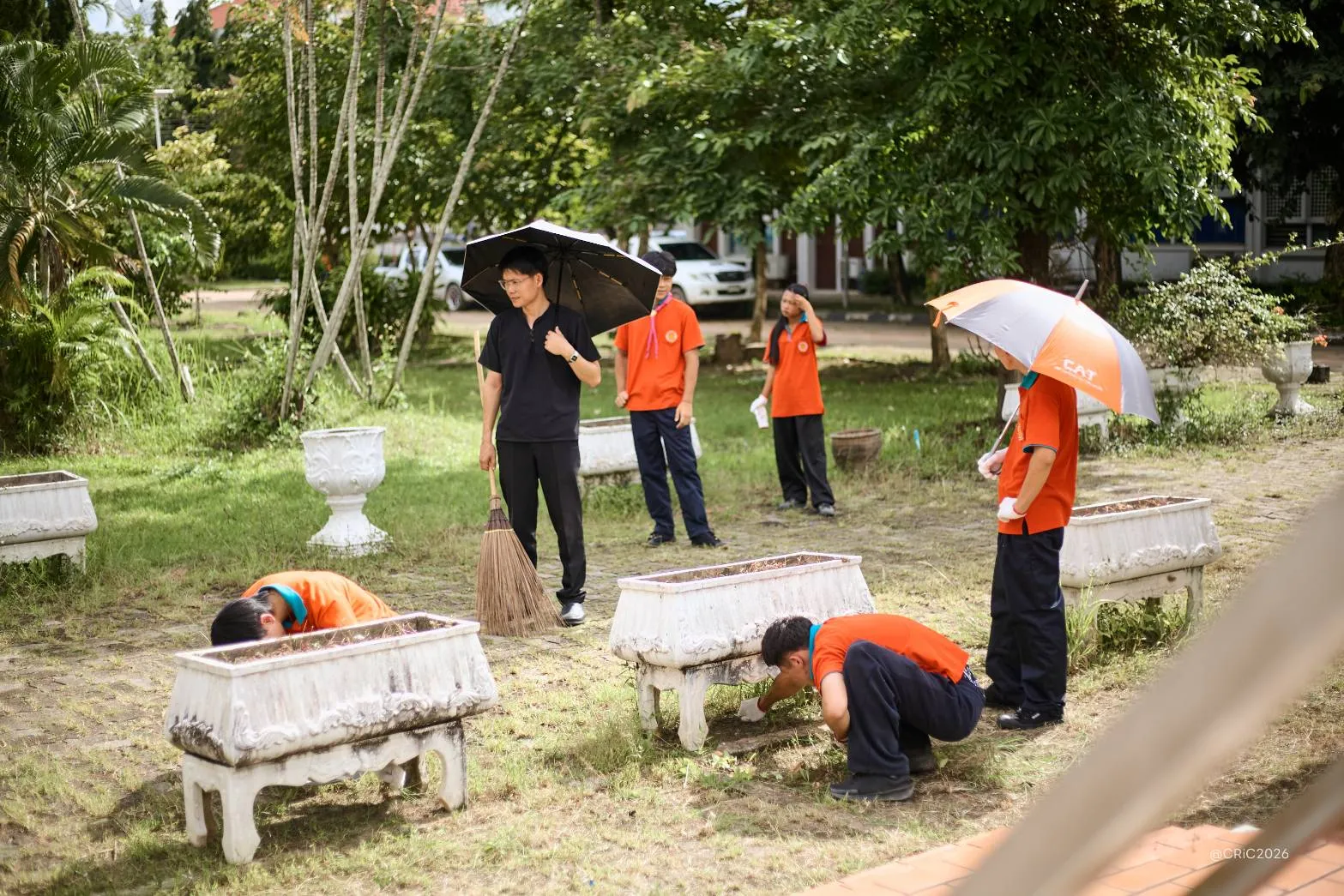 Additional Activity Photo