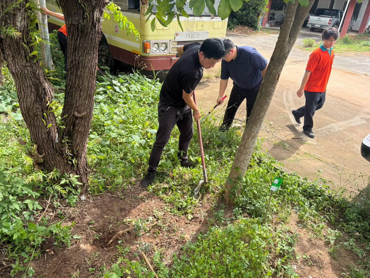 Additional Activity Photo