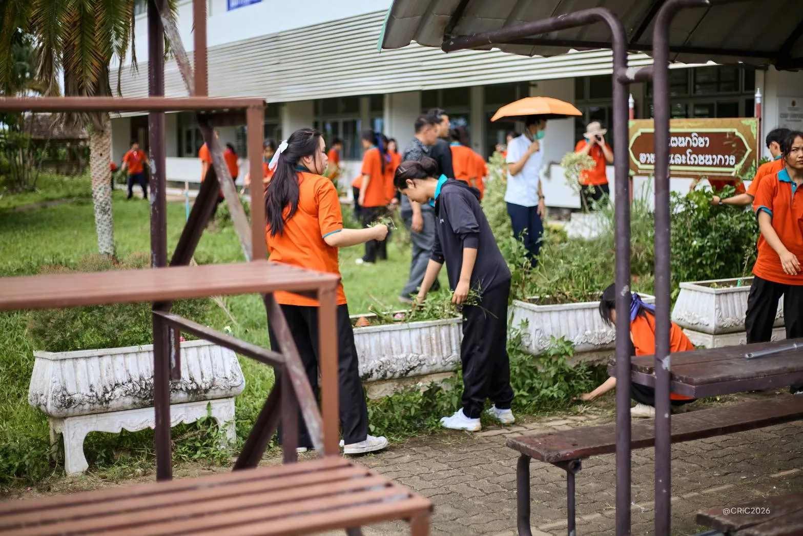 Additional Activity Photo