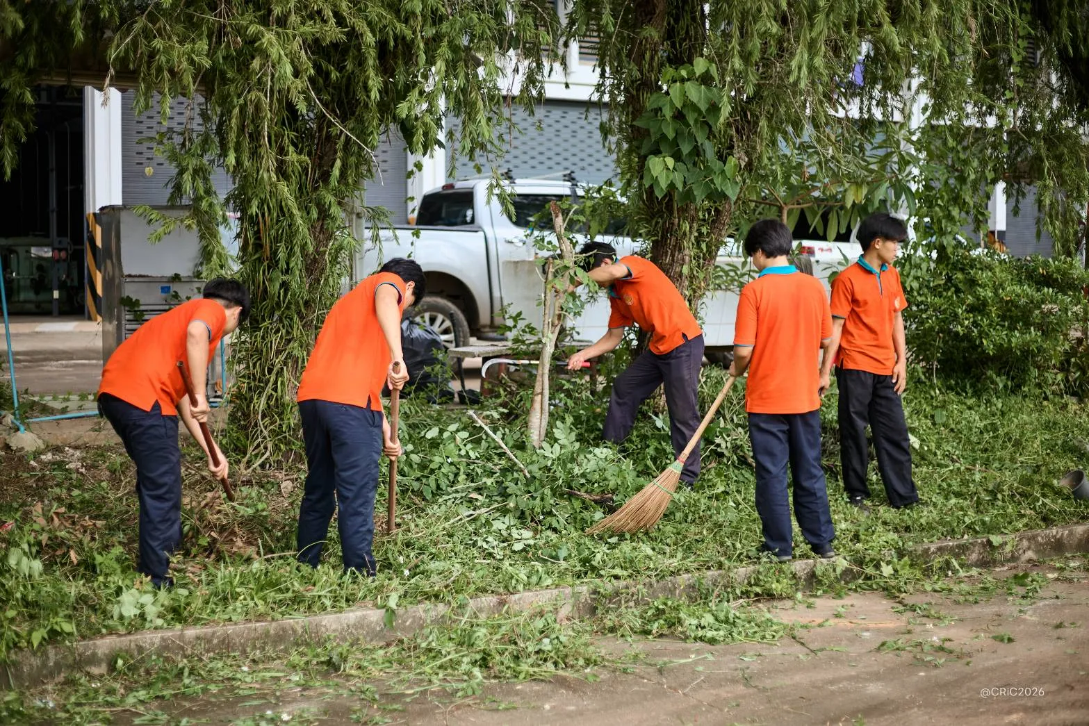 Additional Activity Photo
