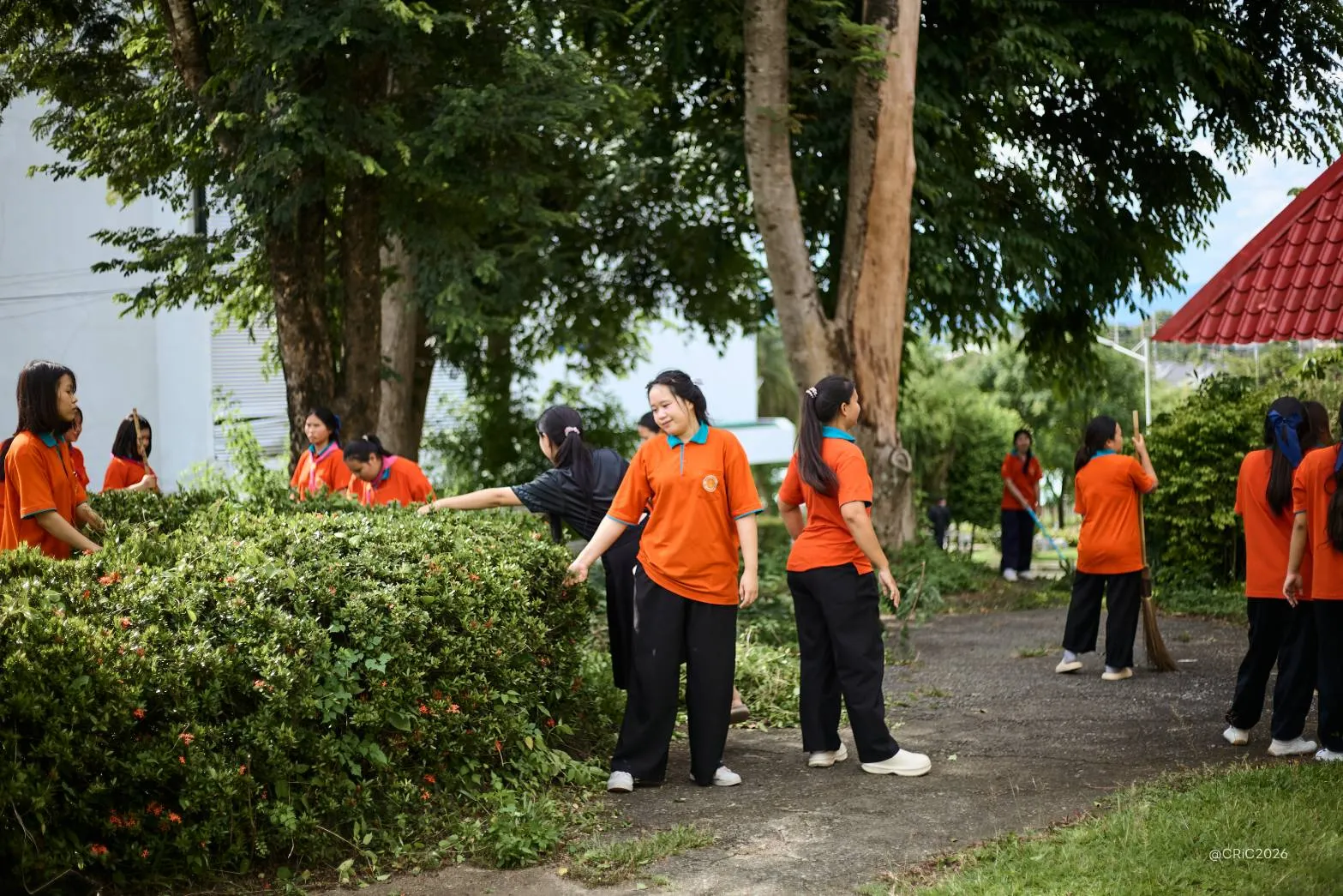 Additional Activity Photo