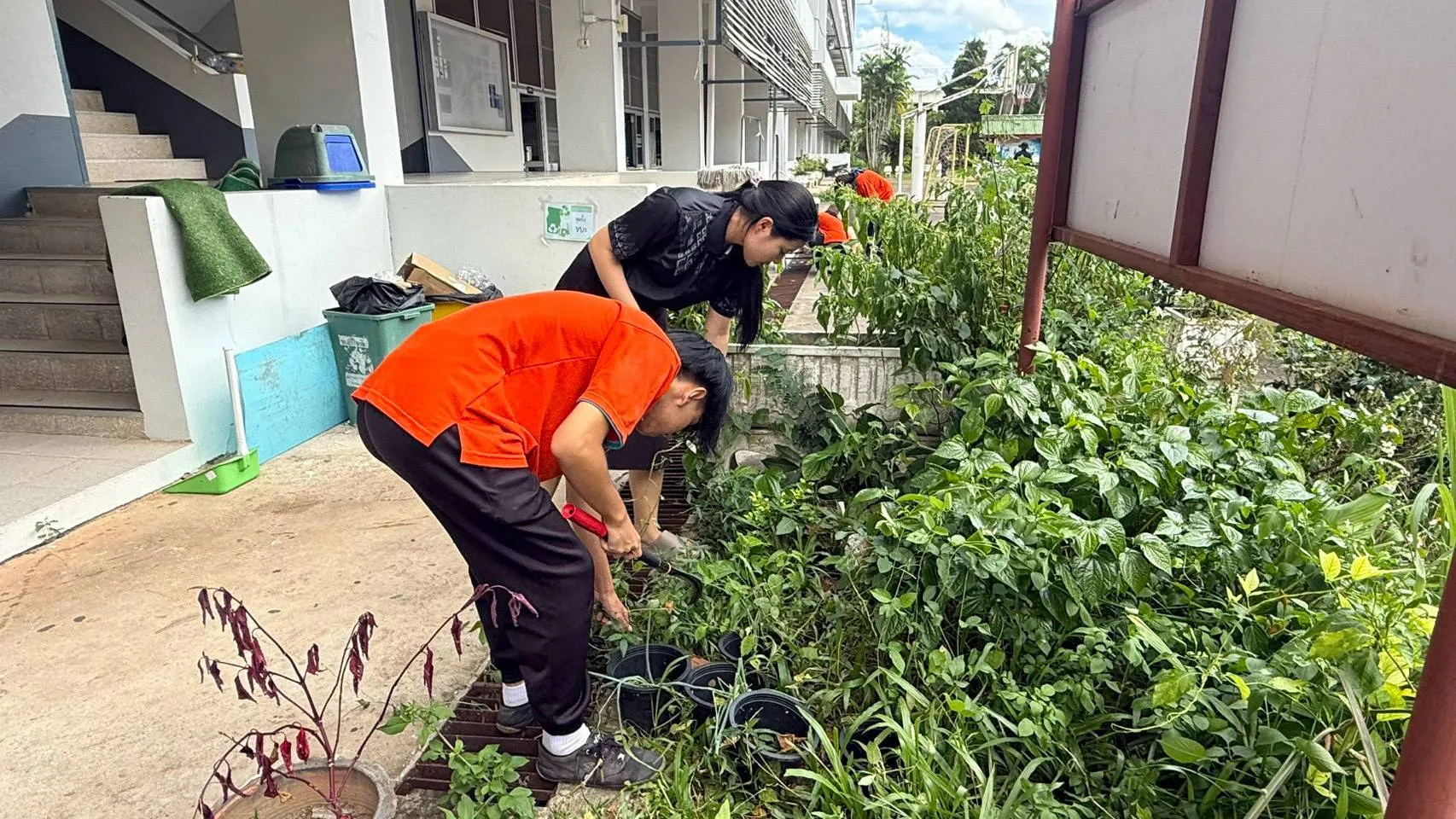 Additional Activity Photo