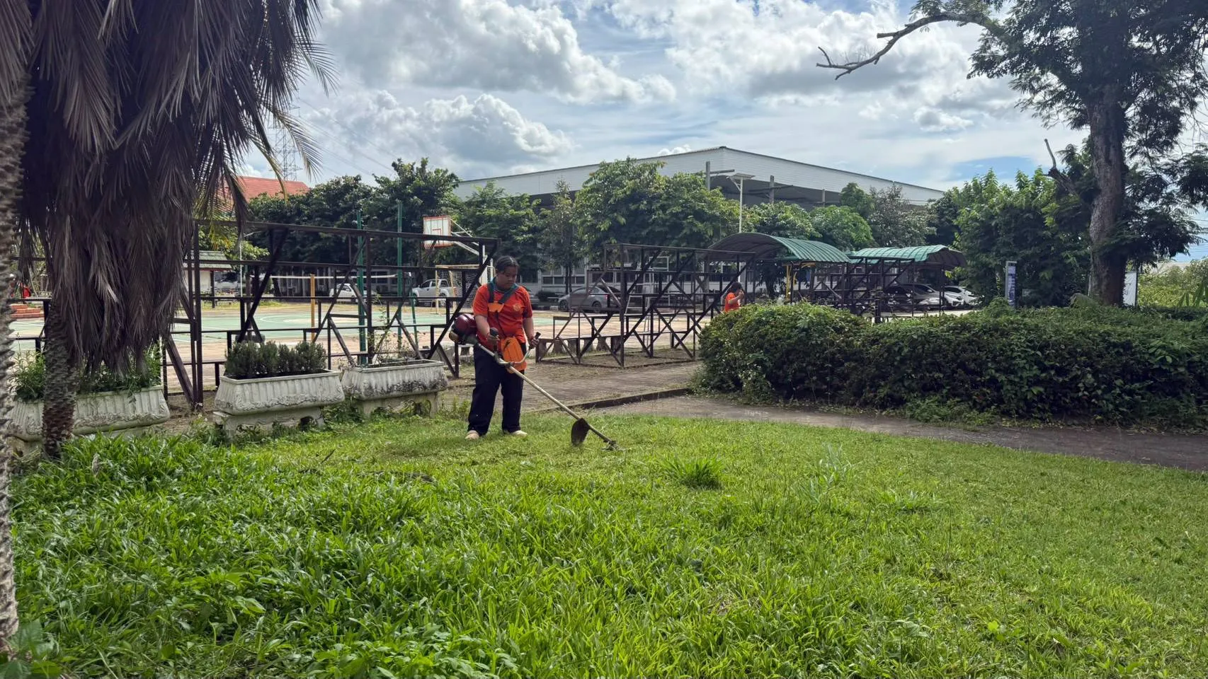 Additional Activity Photo