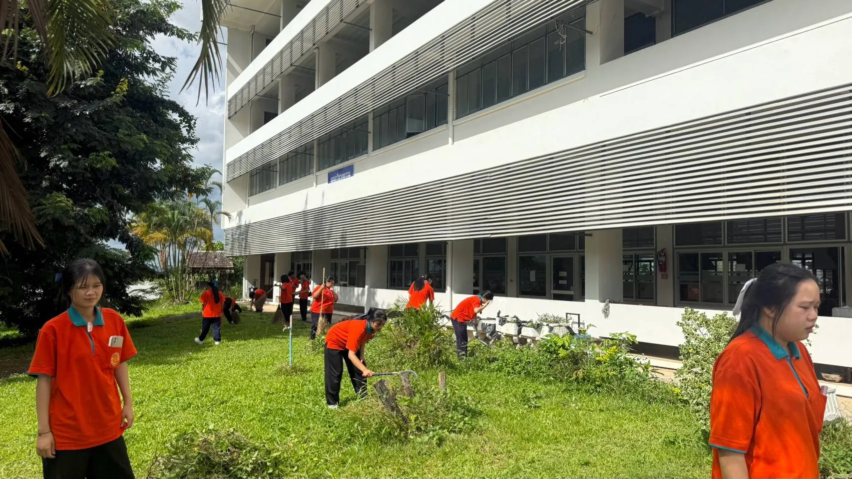 Additional Activity Photo