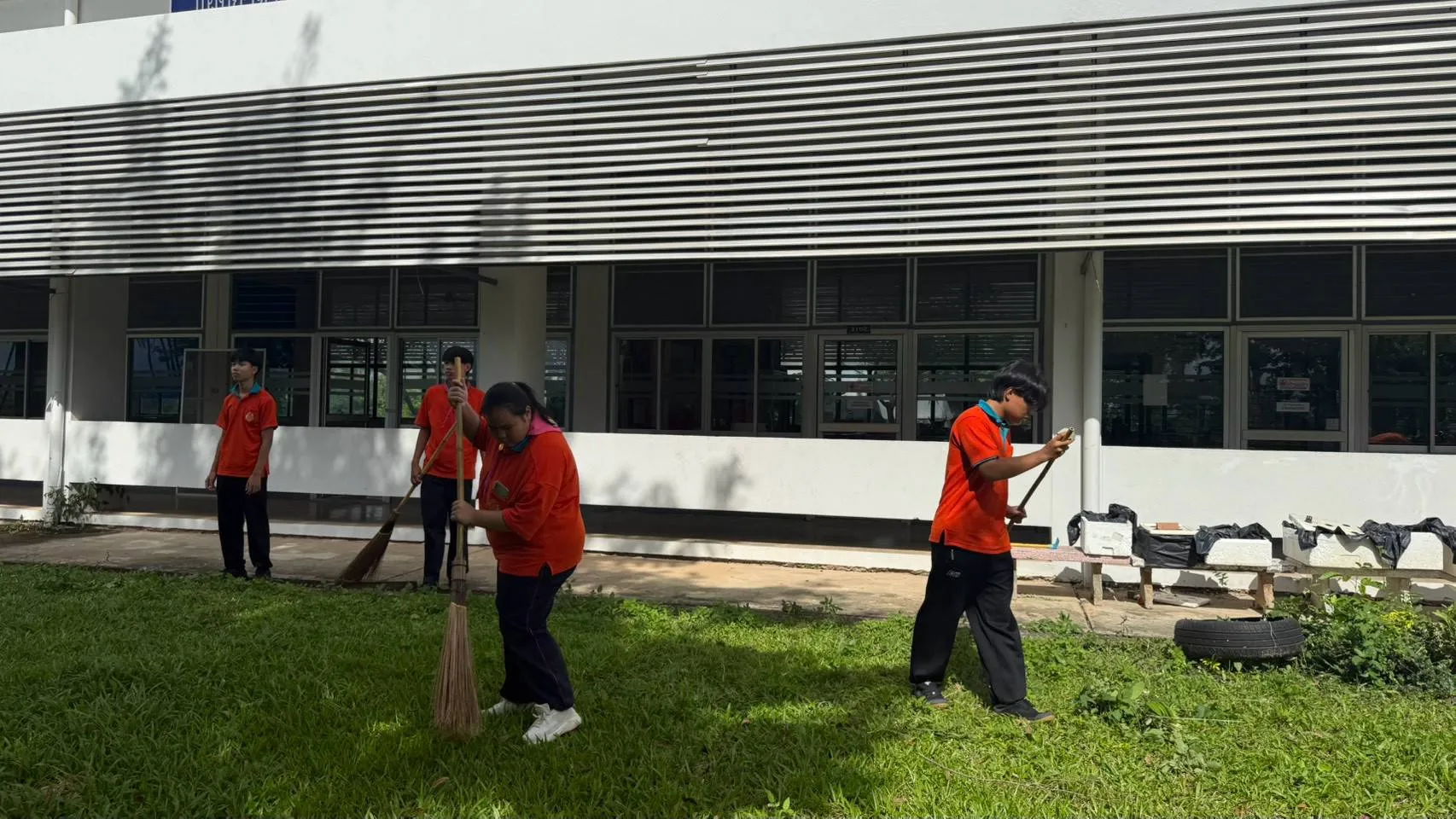 Additional Activity Photo