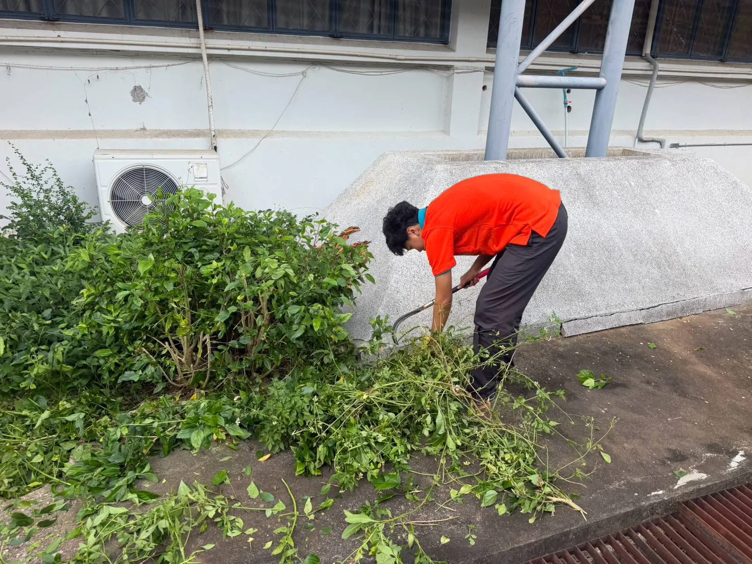 Additional Activity Photo