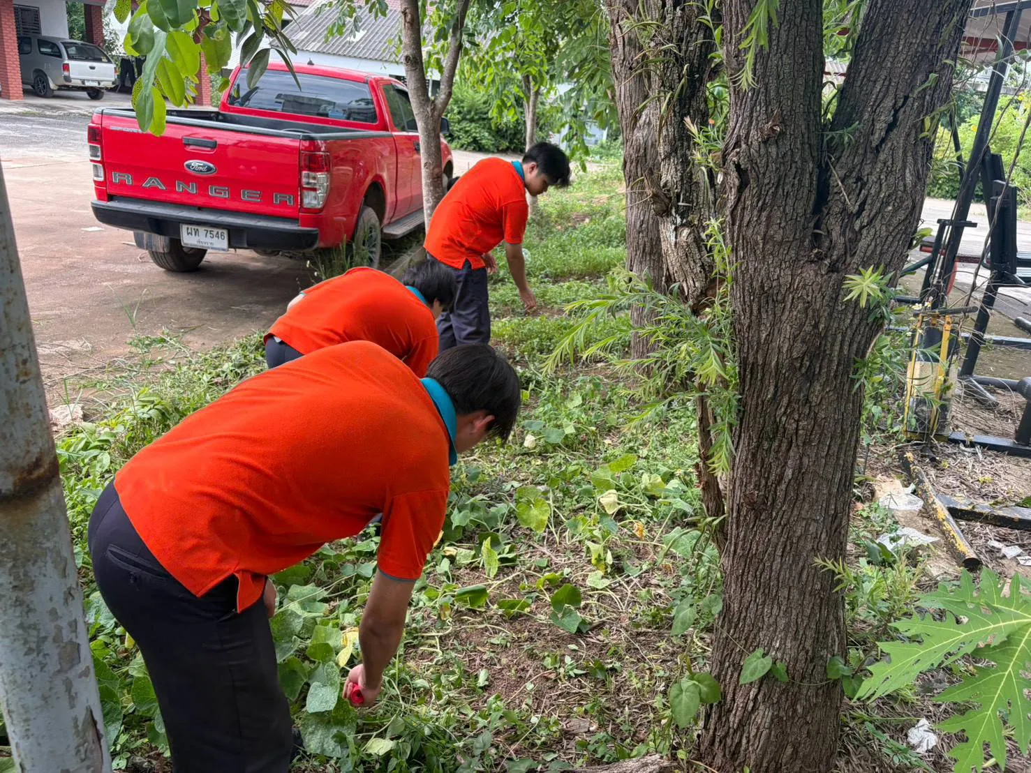 Additional Activity Photo