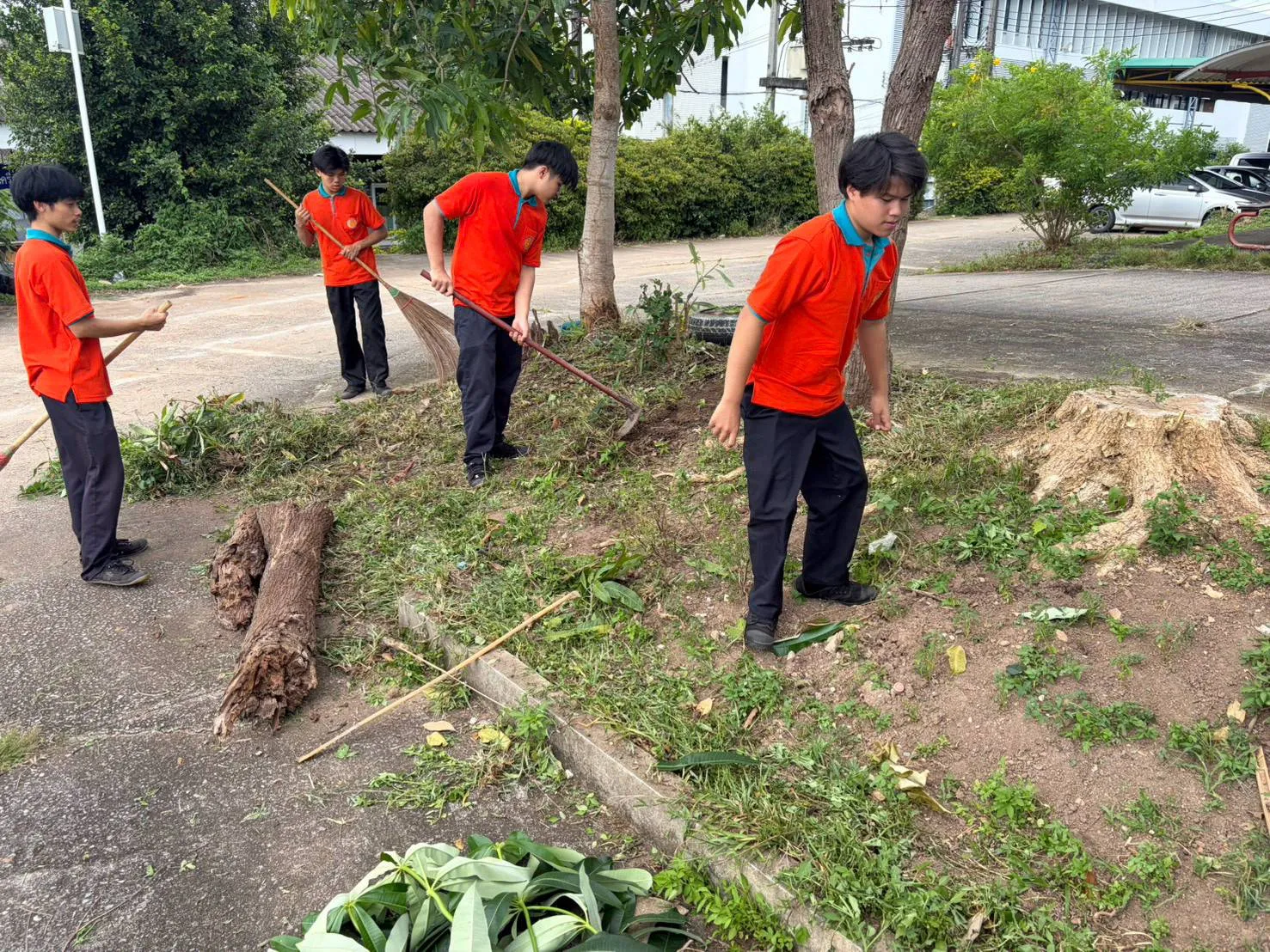 Additional Activity Photo